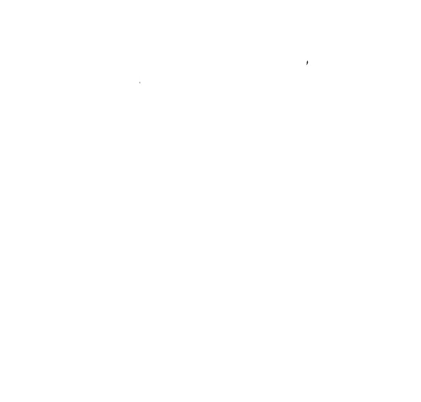 Community Bible Church